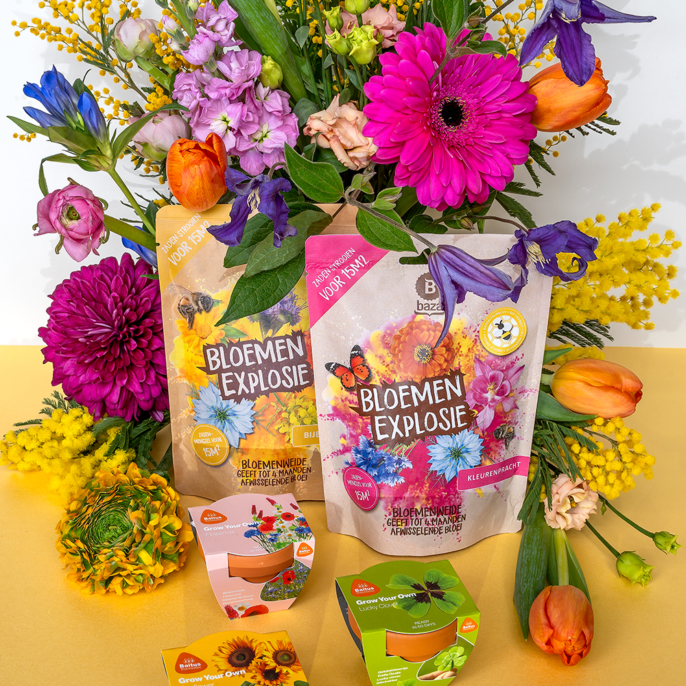 Geef een bloemenexplosie cadeau