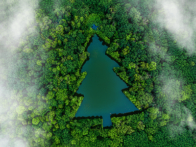 Kerstpakketten